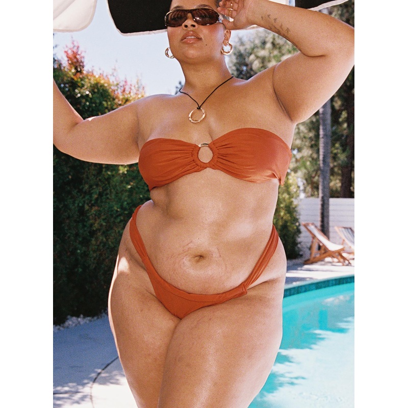 Janea Bikini Bottoms Rust Curve