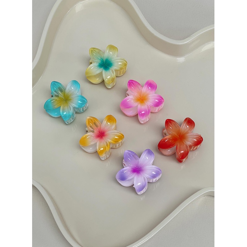 Young Forever Hair Clip Pack Multi